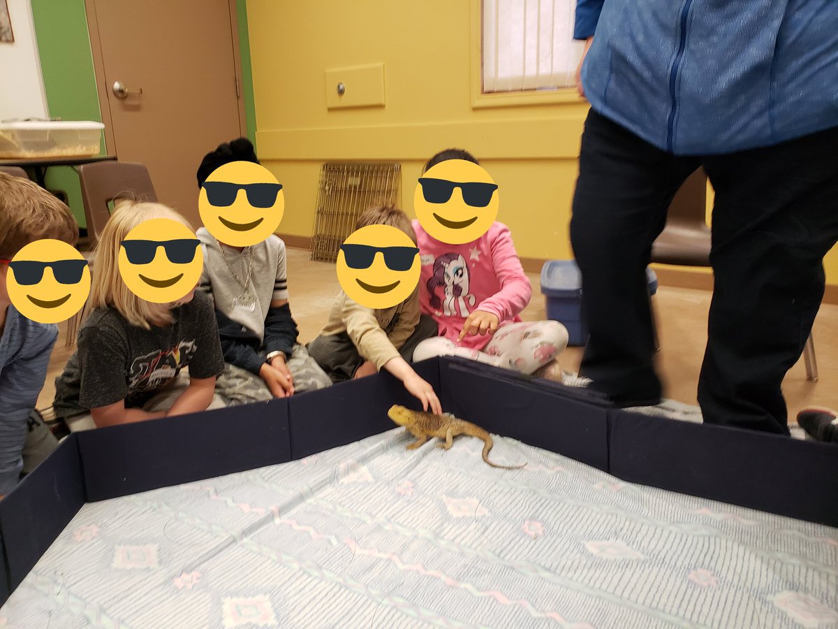 mrsrodomsky's tweet photo. Had an awesome afternoon at The Forestry Farm learning all carnivores. We got to explore some of the zoo and see some animals up close and personal. #spslearn https://t.co/SpF1NCRwp6