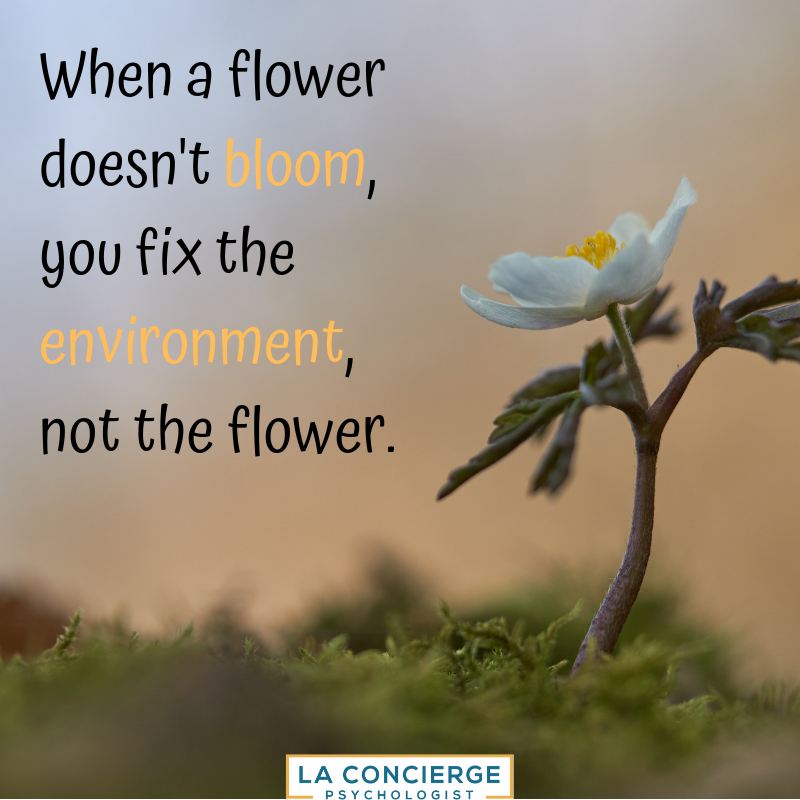 #Neurodiversity #learningdifferences