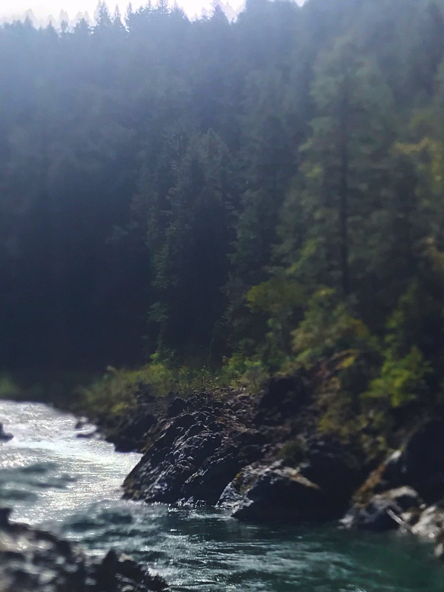 brian_padian's tweet image. #SmithRiver