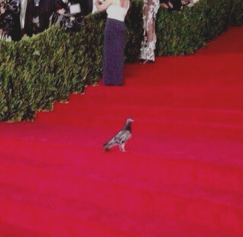 michelletiffs's tweet image. Who was better dressed at the #MetGala? RT for pigeon, like for James Charles