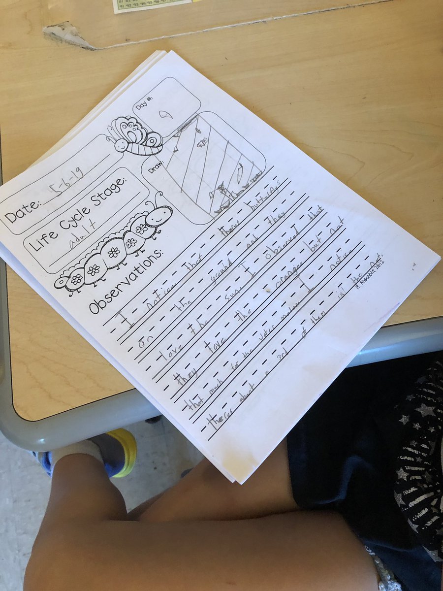 MlwWatts's tweet photo. Our butterflies have emerged and we are making observations.  @FRESWarriors @adcockhome #lovingourhabitat https://t.co/9VVGPPH17E