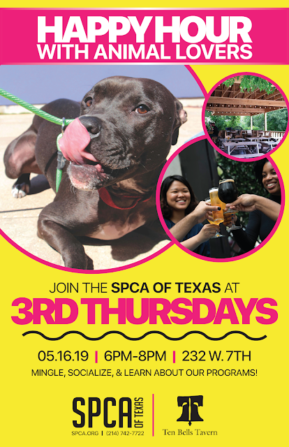 spcaoftexas's tweet photo. Thirsty for more information about the SPCA of Texas? Come to Third Thursdays with the SPCA of Texas!

The SPCA of Texas is thrilled to announce Third Thursdays, a happy hour with animal lovers. For more information visit https://t.co/v3DuTXW2cC https://t.co/IL6NdgbaR2
