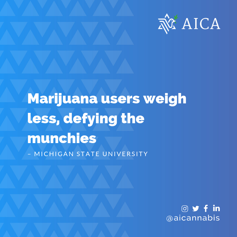 AIcannabis's tweet photo. Some research out of MSU: "New evidence suggests that those who smoke cannabis, or marijuana, weigh less compared to adults who don't. The findings are contrary to the belief that marijuana users who have a serious case of the munchies will ultimately gain more weight." https://t.co/kxWrepEqvC