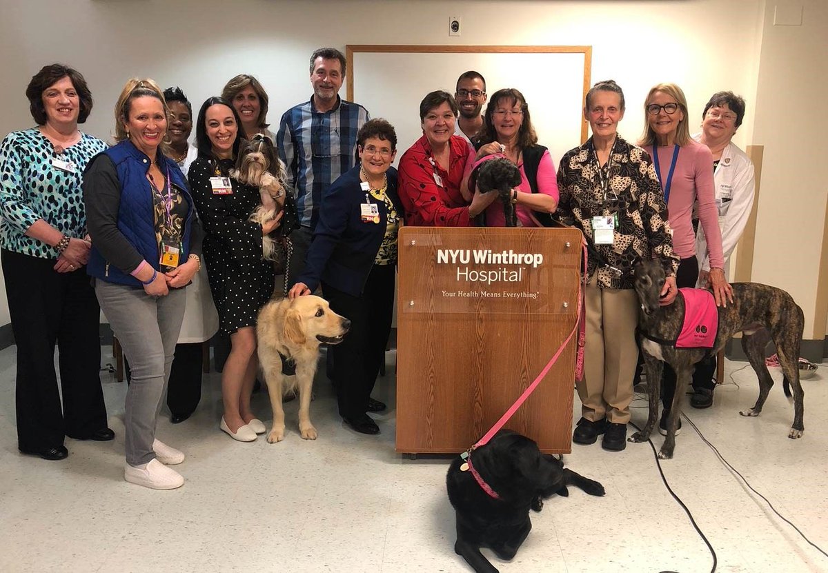 NYULangoneLI's tweet photo. Big thanks to @Bideawee for making our #NursesDay! #NYUWinthrop is thrilled to announce our #WAGS (Winthrop's Animals Give Support) #PetTherapy program starts this summer with #Schnoodles as our first team member! #NurseAppreciationDay #NurseAppreciationWeek #NursesWeek2019 https://t.co/lFBRw83rJ2