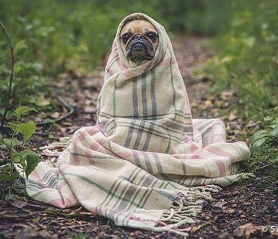 Moi à la fin de l'épisode 4. #GameOfThrones