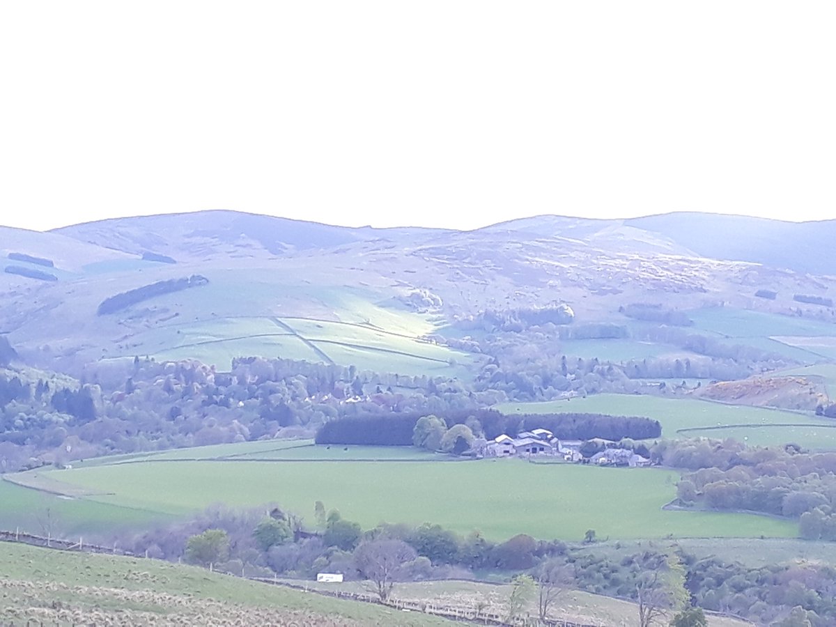 blonde_on_bikes's tweet photo. Meigle hill circular #meiglehill #Galapaths #tweedvalley #scottishborders #hillwalking https://t.co/PrHj6ZlAR4