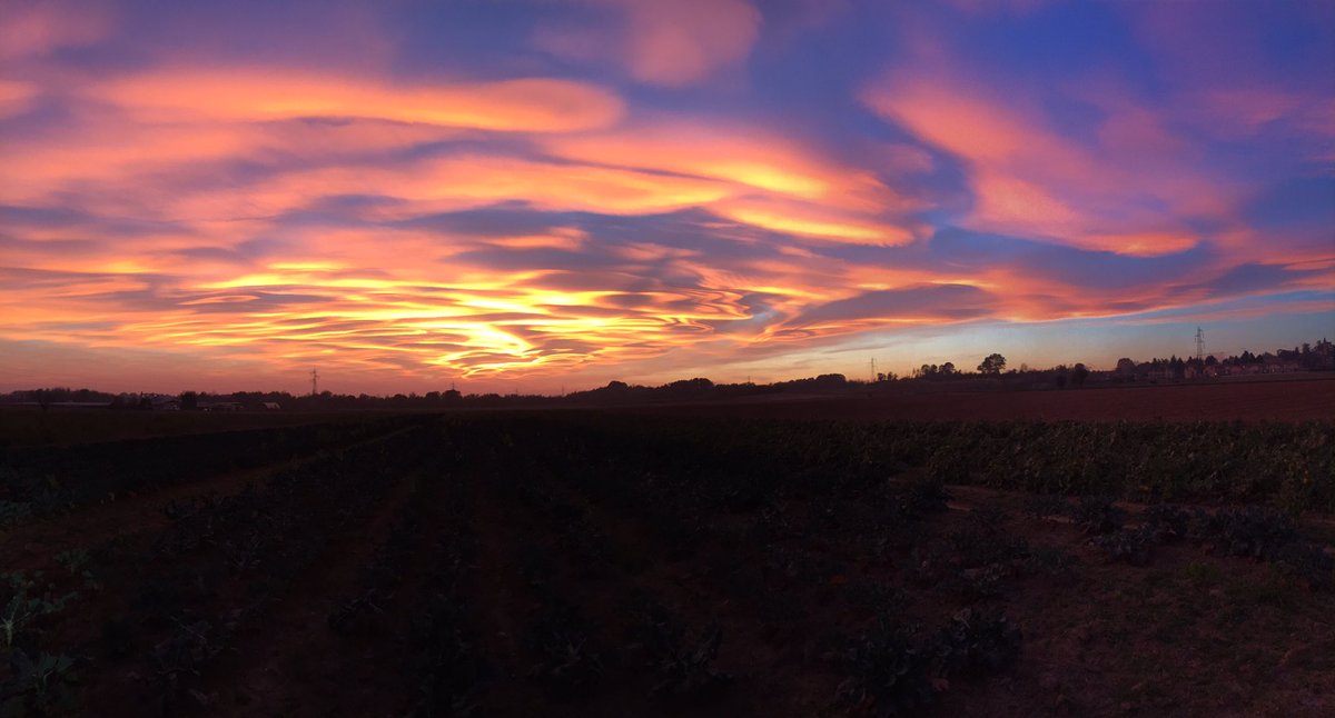 MaricaGusmitta's tweet image. Ho bisogno di poesia,
questa magia che brucia la pesantezza delle parole,
che risveglia le emozioni e dà colori nuovi.
Alda Merini

#PoesiePerLaSera 

#VentagliDiParole