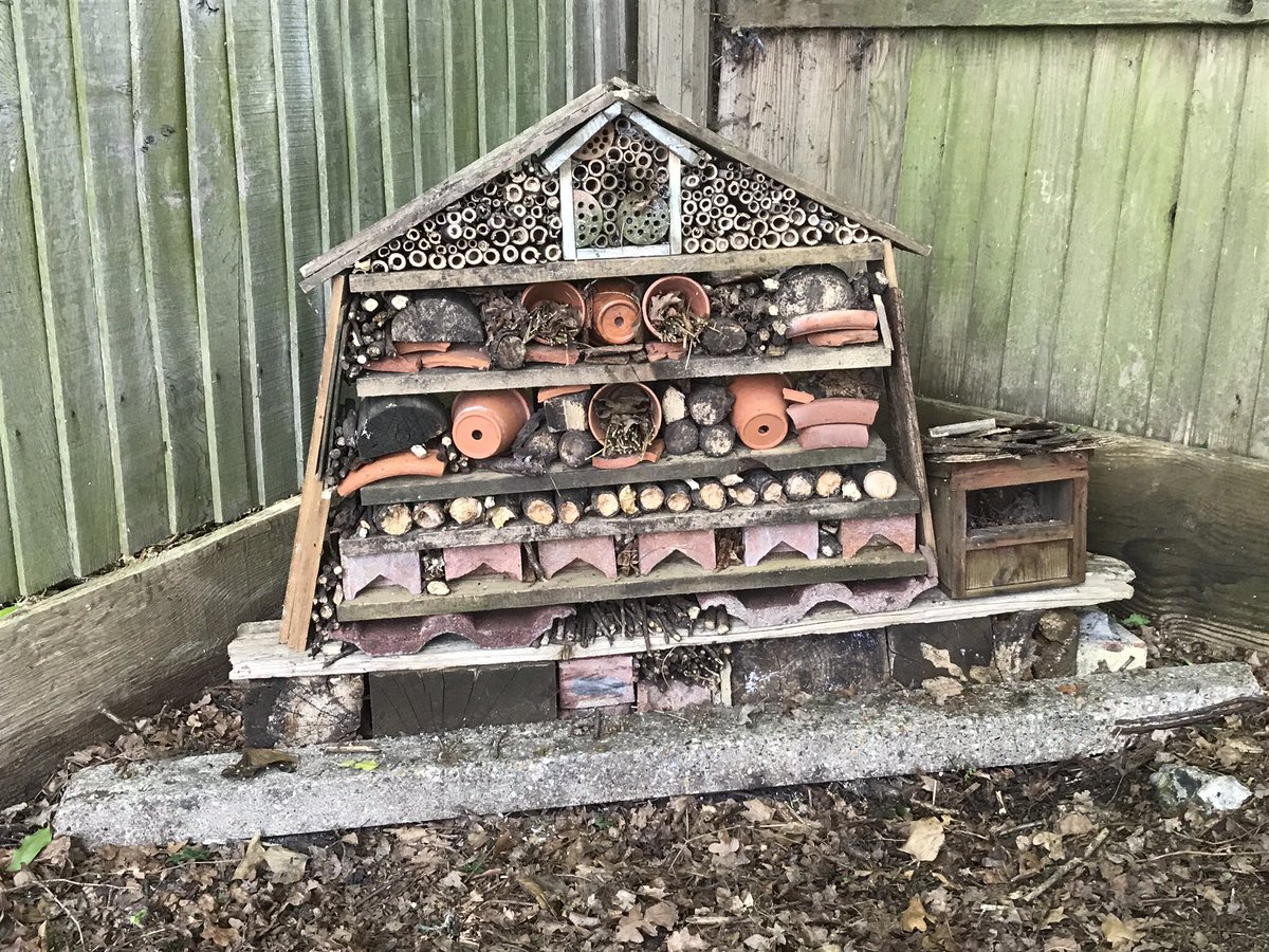 Celia_Rose7's tweet photo. New #bughotel made from reclaimed materials in the garden. #ecogardening #friendlybugs https://t.co/Z53ITqO7Kh