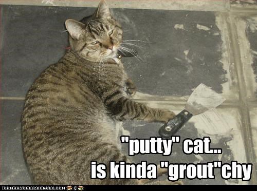 TileLines's tweet image. Tile Cat is not amused... We've heard hundreds of people say,"I hate grout!" If only they had our premixed, no-seal, stain-resistant grout... then they wouldn't be so "grout"chy! 
Learn more: tilelines.com/grout/
#mememonday #tilecat #tile #cat #cats #WhyUseAnythingElse