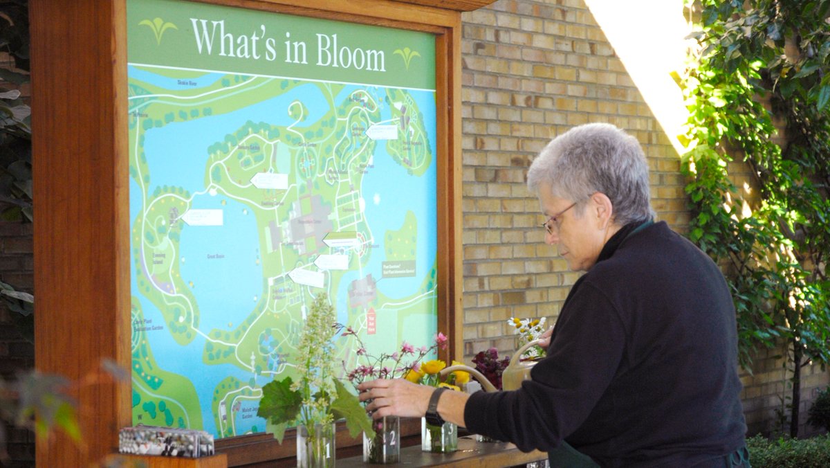 chicagobotanic's tweet photo. Visit our What's in #Bloom cart, back on display outside the Visitor Center, to find out what #springflowers you can see in the Garden right now:
https://t.co/sp2FhD6R2s
#SpringatCBG https://t.co/EPXLxZ9yw3
