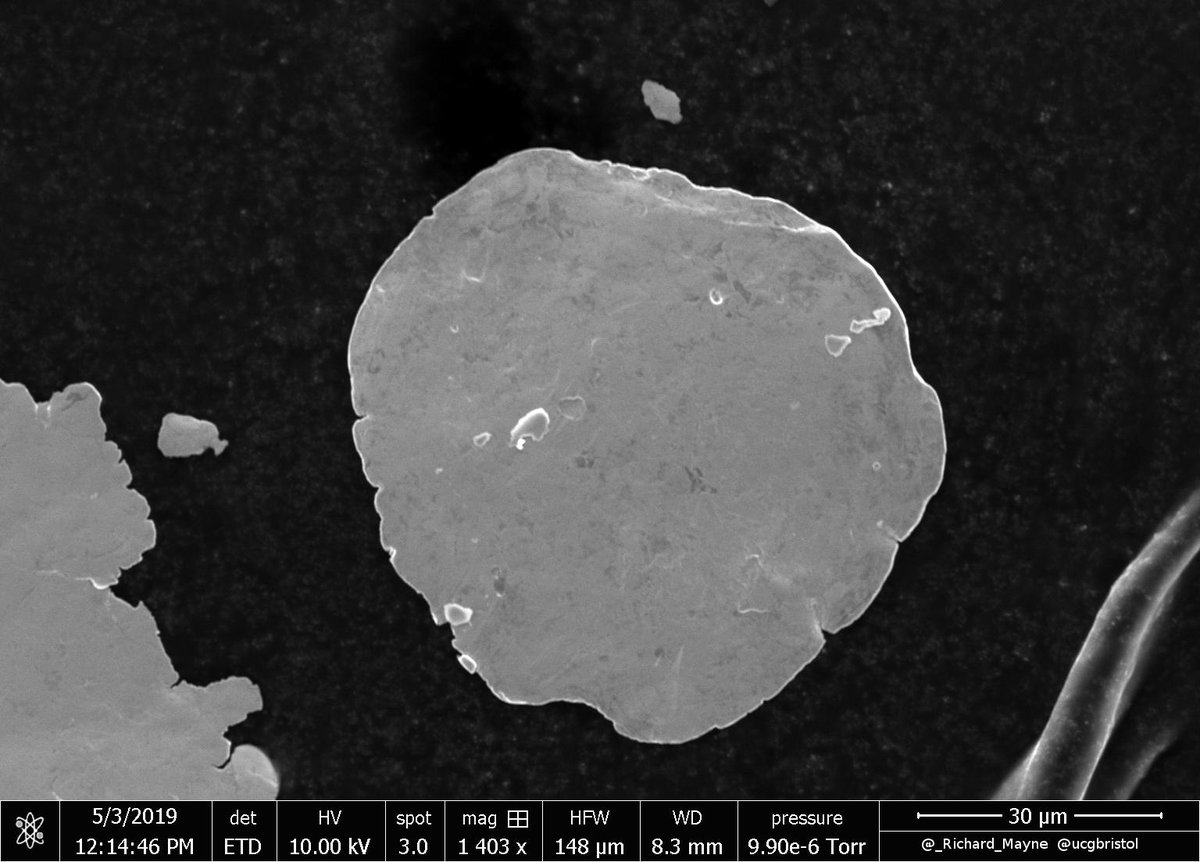_Richard_Mayne's tweet photo. Product placement on the micrometer scale? (Copper viewed with FESEM, discovered with @DrTomDraper @ucgbristol ). https://t.co/rqljJ1btou