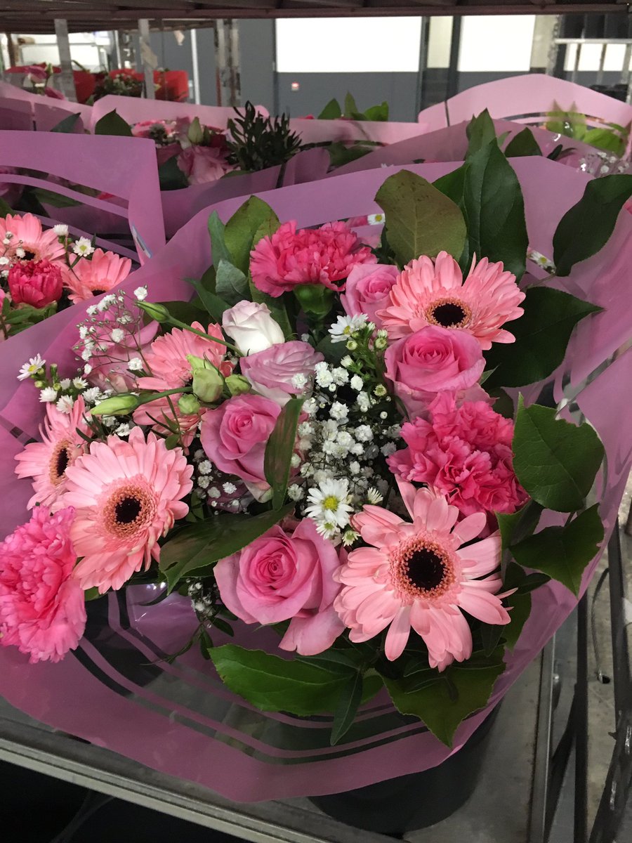 RuudKnorr's tweet photo. Met moederdag op de tweede zondag in mei zetten we alle moeders in ons leven even extra in het zonnetje. Alle moeders verdienen het om komende zondag lekker verwend te worden.
Vanaf het begin hebben bloemen een belangrijke rol gespeeld. 
#DutchFlowerGroup https://t.co/86dHXQyuUw