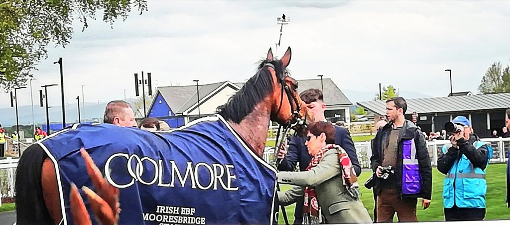 desertdove7's tweet photo. @TheIrishField @curraghrace Today's Racing was #Magical in more ways than one #SuperFacilities #SuperAtmosphere #SuperLayout #SupetRacing Congrats #TheIrishfield #TheCurraghracecourse https://t.co/Zw6tjptDD8