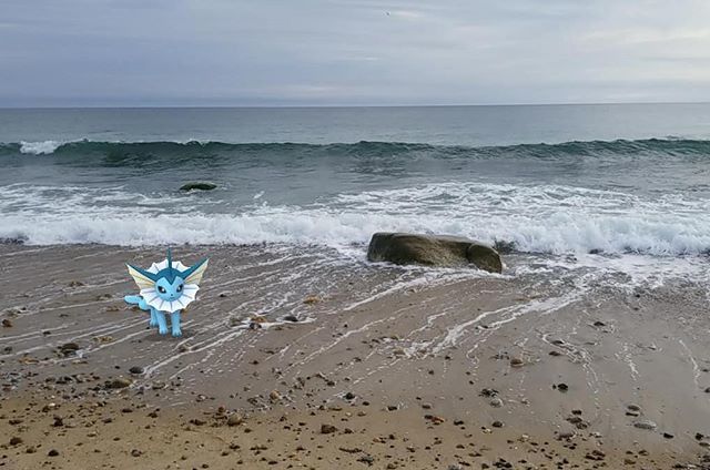 LunamothJess's tweet photo. #pokemononthebeach #vaporeon #eeveelution #pokemongo #pogo #gosnapshot #habitatchallenge https://t.co/7nyJyRZwiq https://t.co/3DhL2LVedq