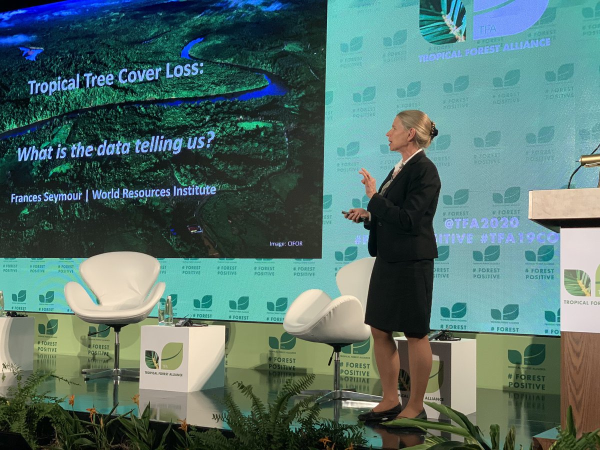 The <a href="/WorldResources/">World Resources Institute</a> Institute Distinguished Senior Fellow <a href="/FrancesJSeymour/">Frances Seymour</a> let the data do the talking to uncover tropical tree cover loss #ForestPositive #TFA19COLOMBIA