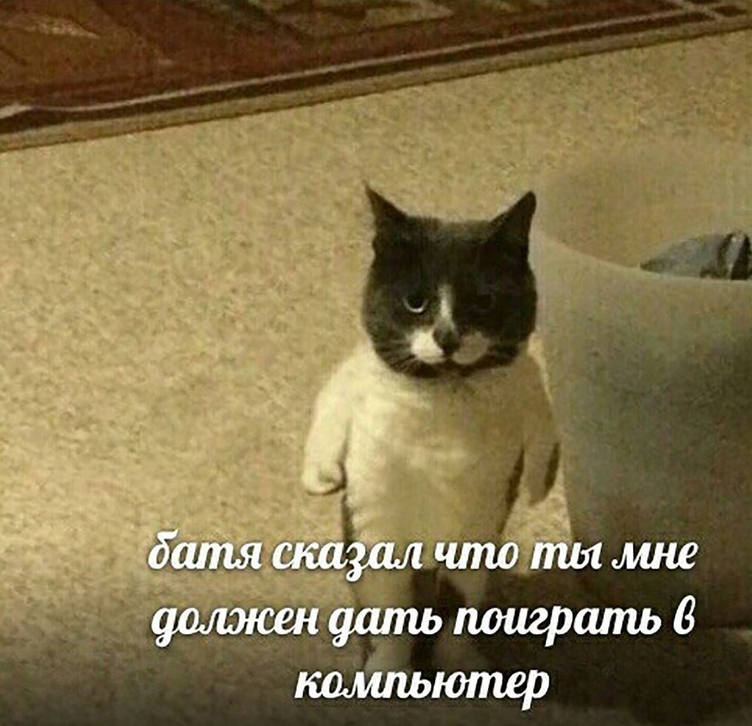 D56Pm5OWwAIfBZ0.jpg:large