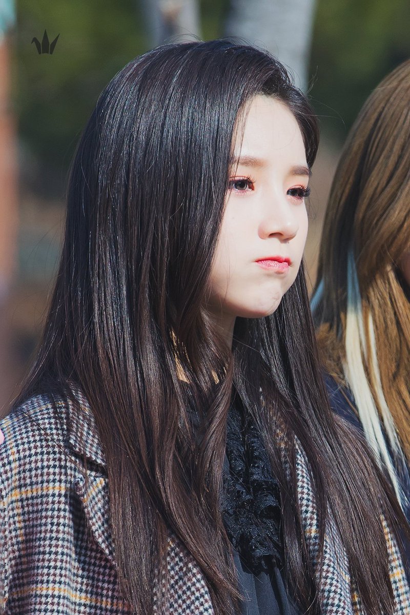 loonapics's tweet photo. 190224 #heejin #loona
˖yves dog https://t.co/usAY9RPuSR