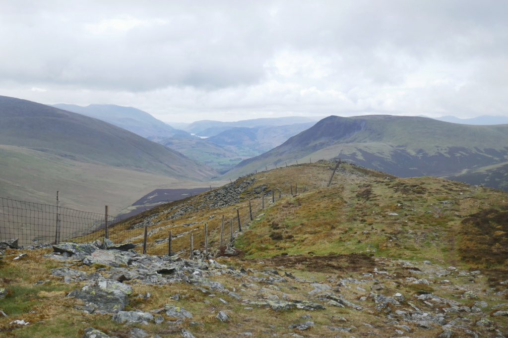 GCSScotland's tweet photo. Escaped the bank holiday crowds in the #northernfells #LakeDistrict. Wandered over #GreatCalva and #Knott. A new #Wainwright and a repeat for the wee dug https://t.co/qXDQlfET6Y