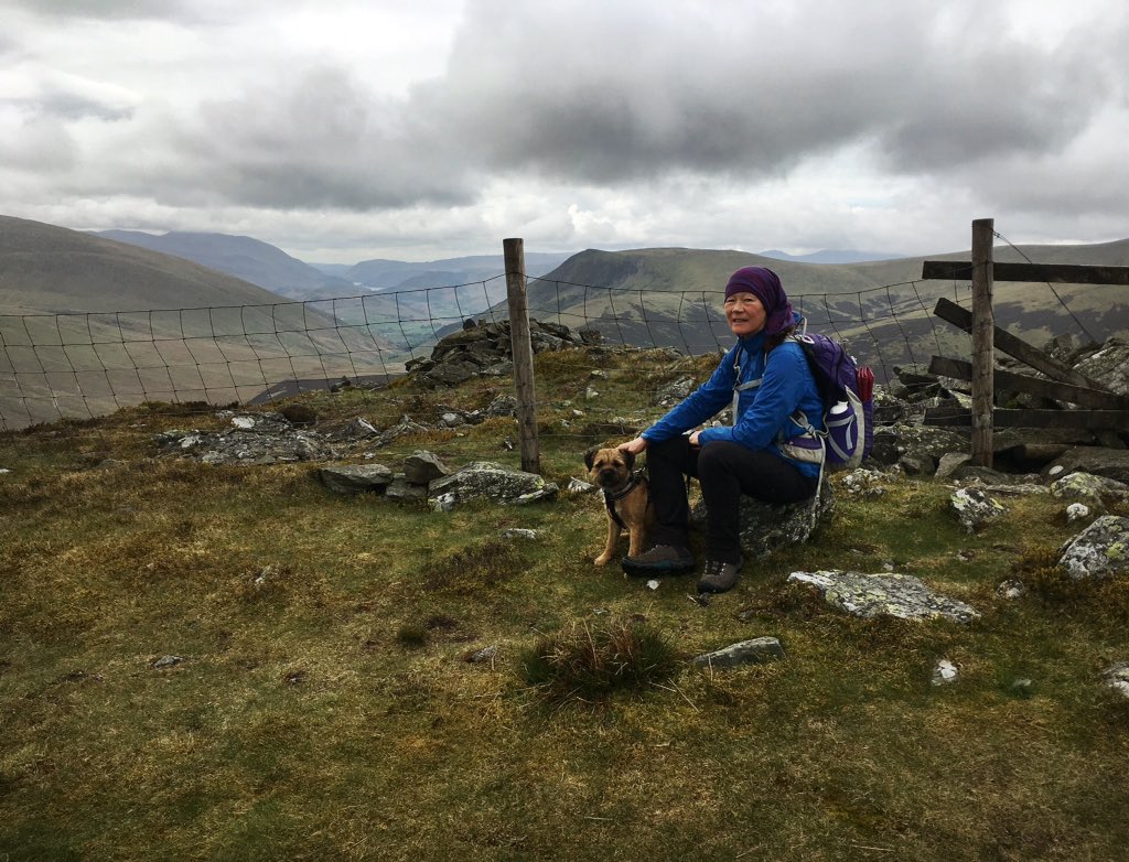 GCSScotland's tweet photo. Escaped the bank holiday crowds in the #northernfells #LakeDistrict. Wandered over #GreatCalva and #Knott. A new #Wainwright and a repeat for the wee dug https://t.co/qXDQlfET6Y