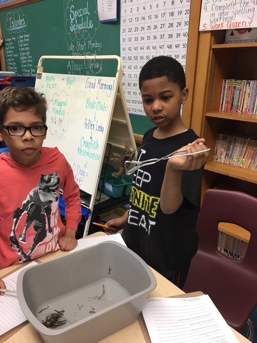 poupard3rd's tweet photo. Crayfish Observation...”Mrs. Halpin, this was the best day EVER!”
@HussainAli_edu @GPSchools @Poupard_Dragons https://t.co/LAeE74VqNs