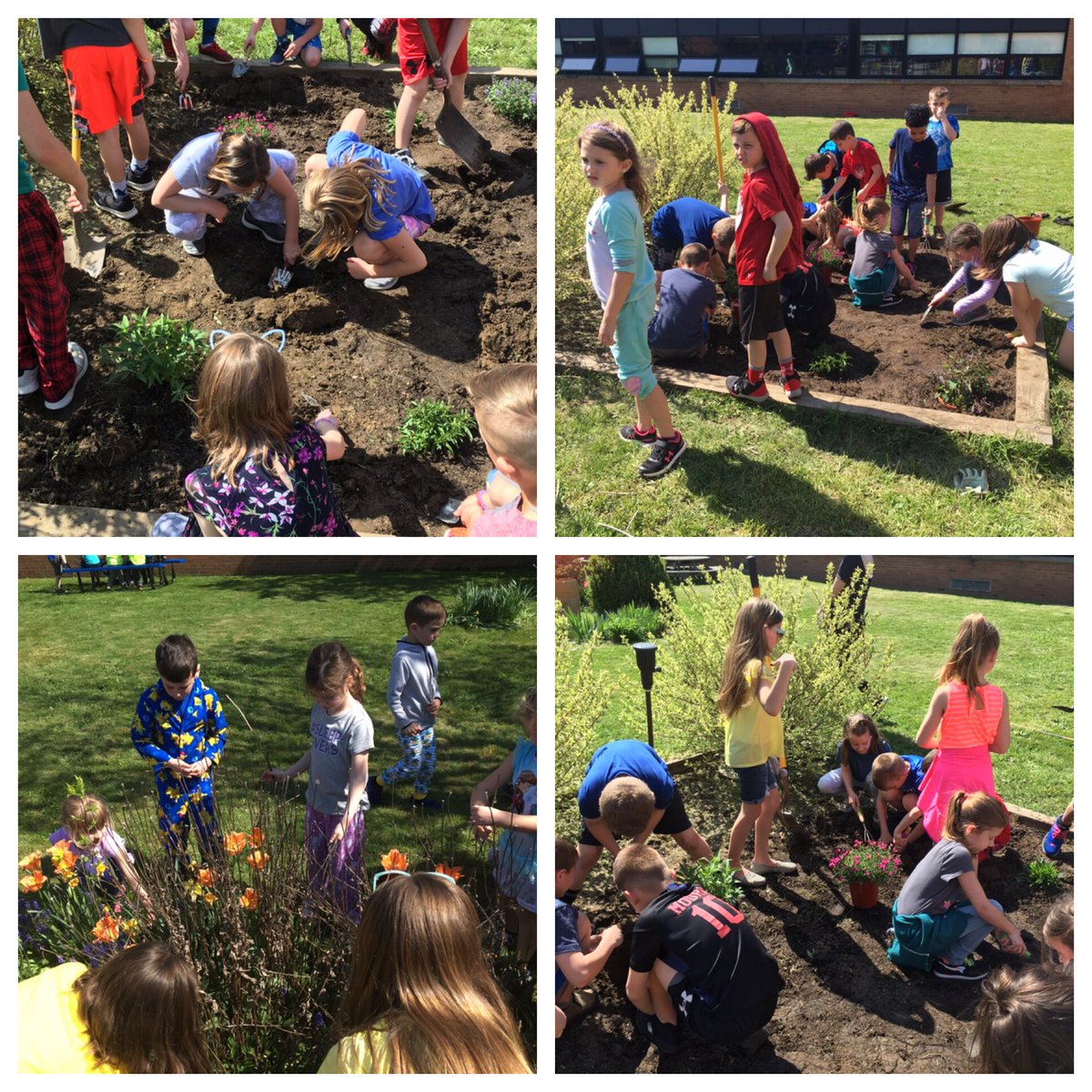 K-5 friends working in the garden! #RidgeESrocks #OnceACard