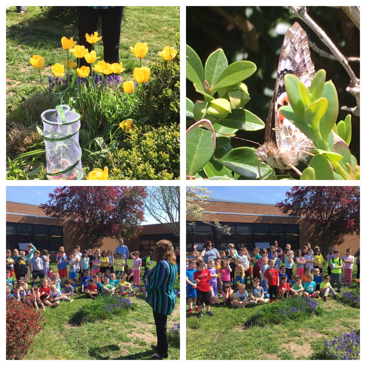 Releasing our butterflies! #OnceACard #RidgeESrocks