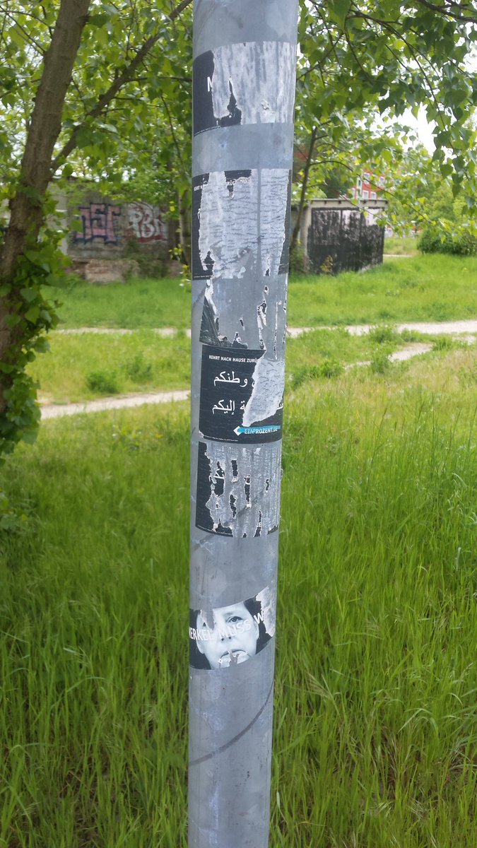 SvenIsHell's tweet image. #stickerwars #Mockau