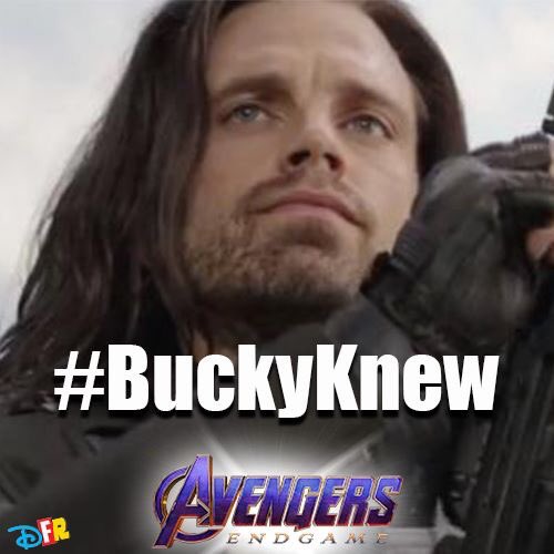 DisFanReview tweet media