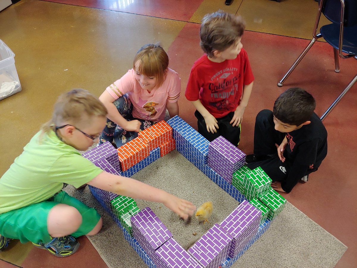 Bethany Lake tweet media