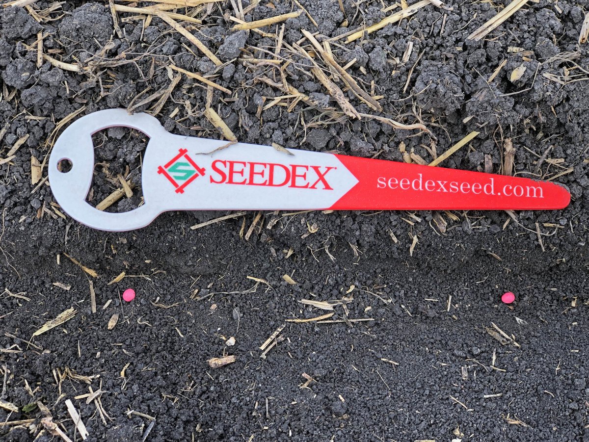 SeedexSeed's tweet photo. What's your target seed spacing? #SeedexSeed #plant19 #beetseed #seedspacing https://t.co/4wvX5pXRmo