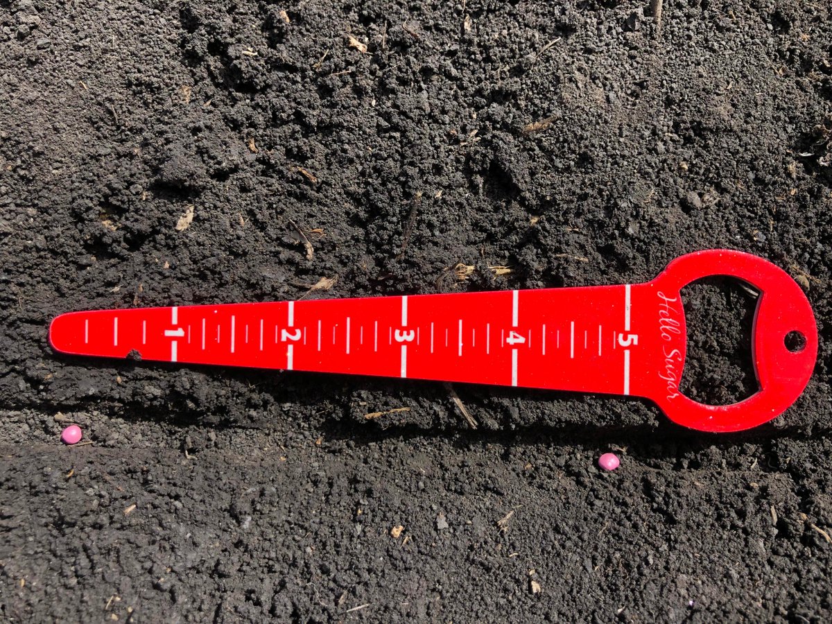 SeedexSeed's tweet photo. What's your target seed spacing? #SeedexSeed #plant19 #beetseed #seedspacing https://t.co/4wvX5pXRmo