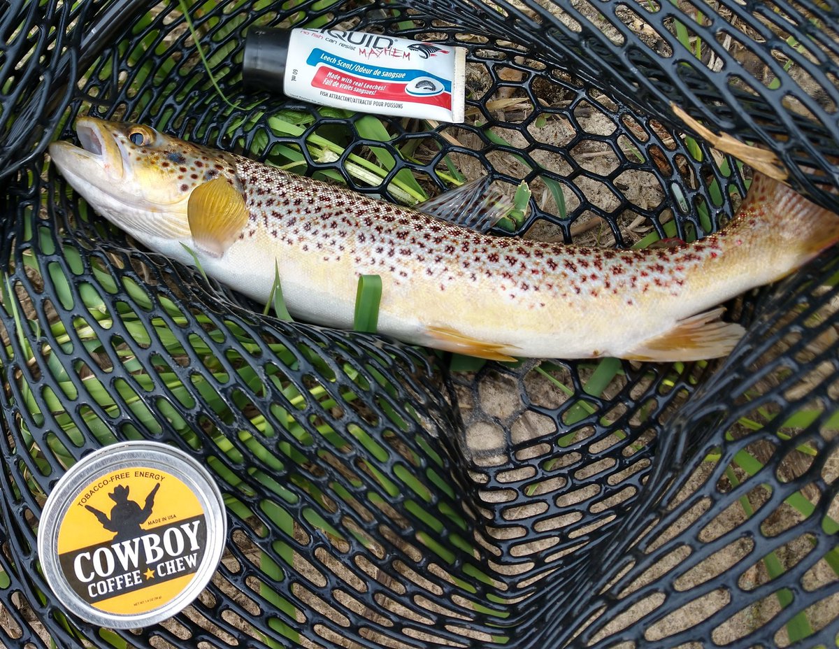 Cowboys Coffee Chew tweet media