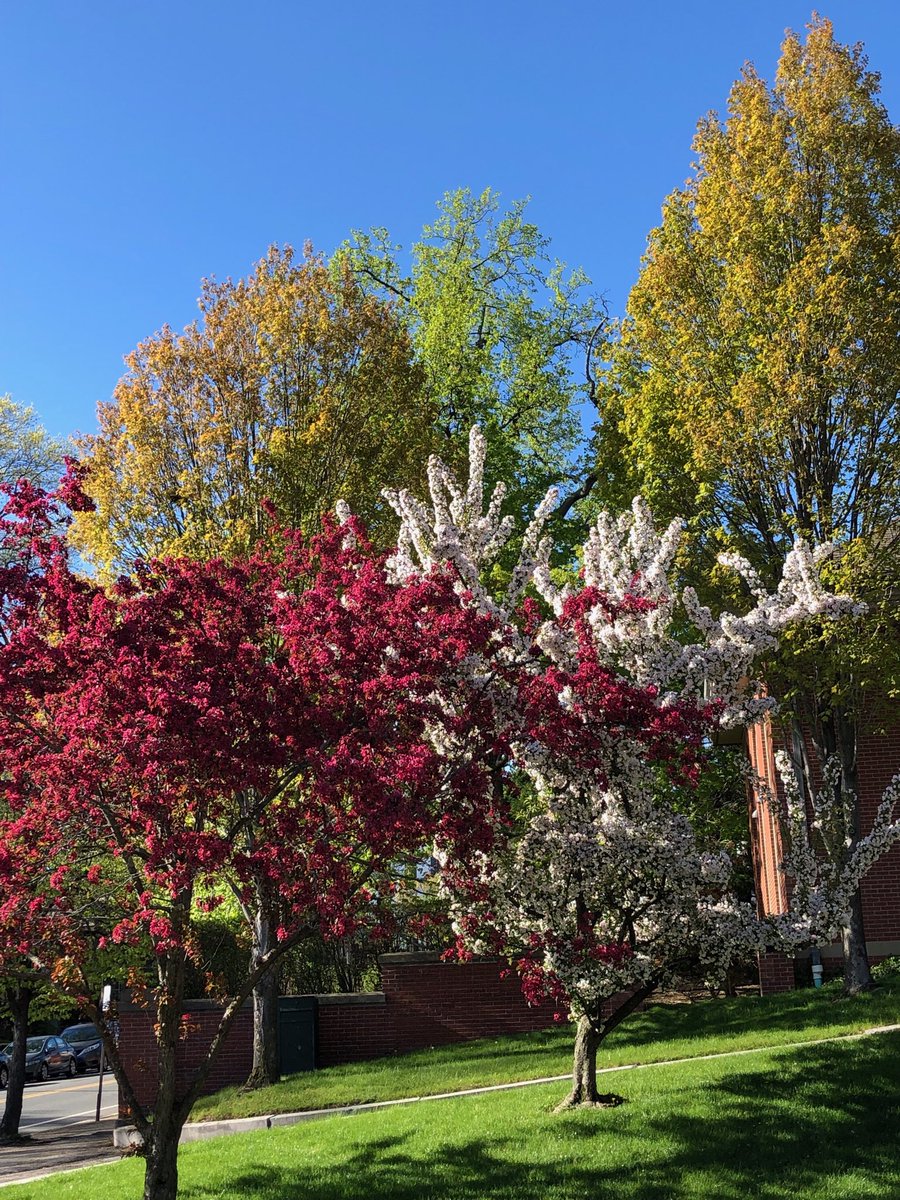 Spring colors- now this is more like it.