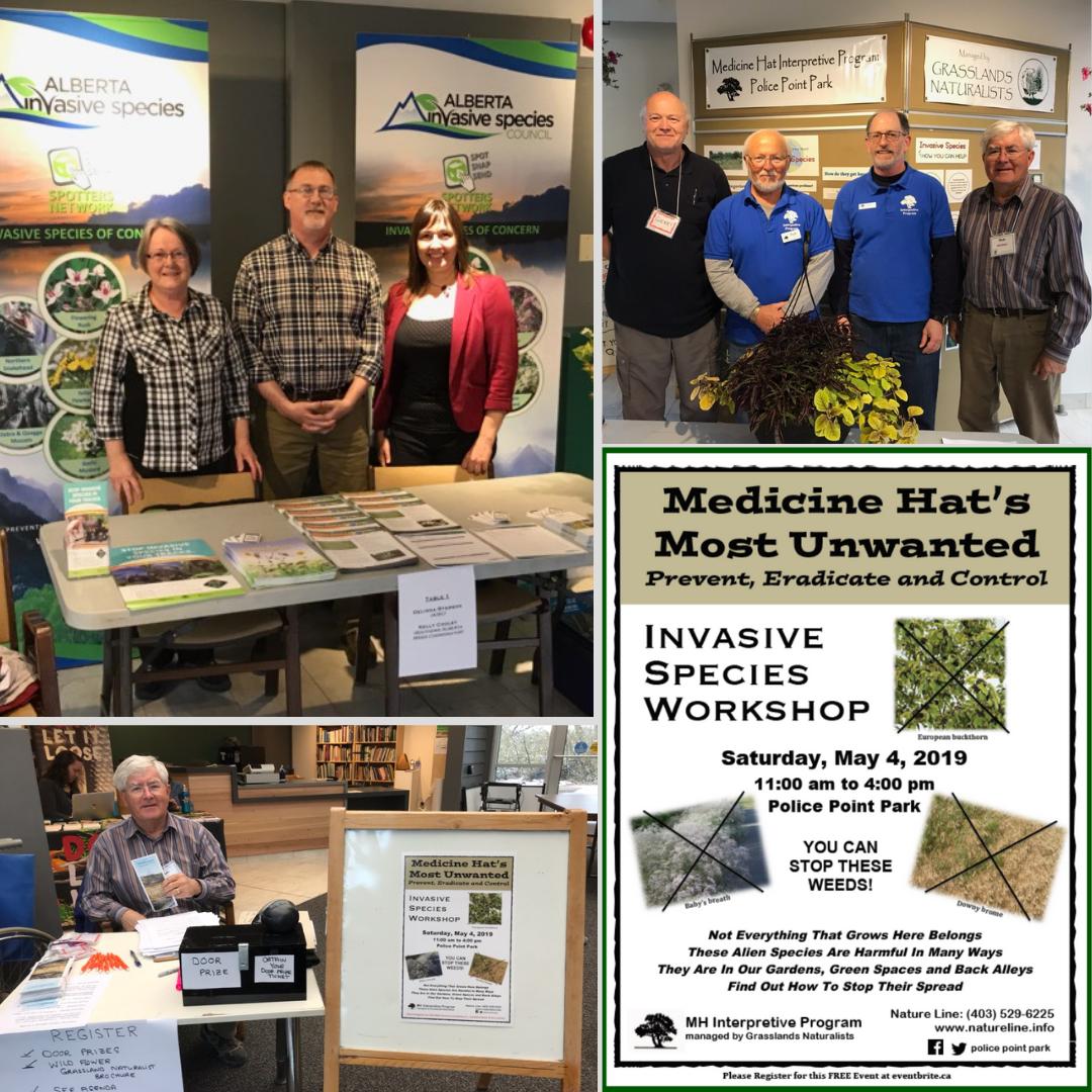 ABInvasives's tweet image. Was the force with you this May 4th? It was with the AISC who turned out &apos;in force&apos; to MH&apos;s Most Unwanted @PolicePointPark!

With #learningtables and #presentations by AISC, AEP, Grasslands Naturalists, @medicinehatcity, @SEAlbertawaters, it was also nice to see @CypressCounty!