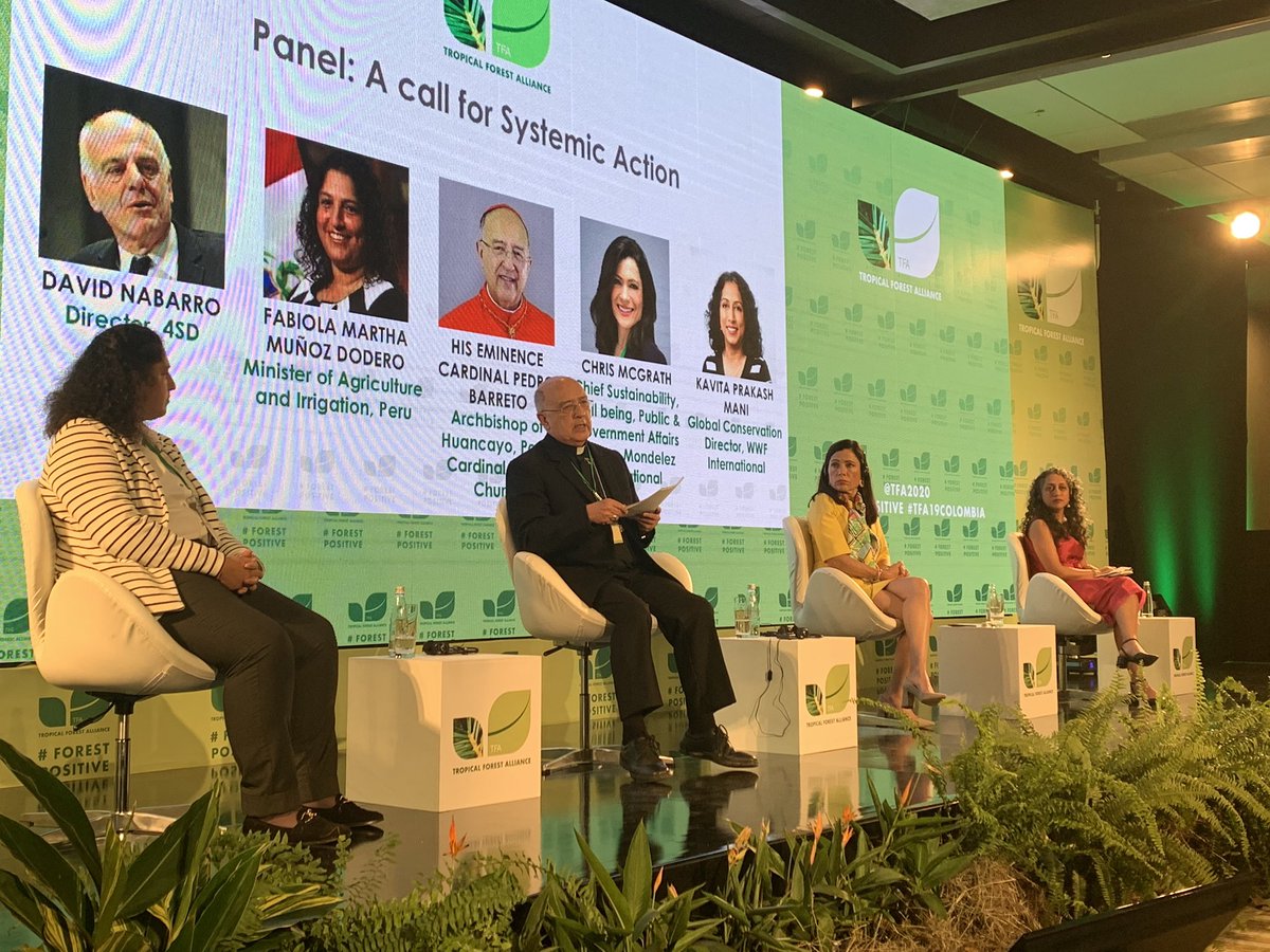 "Of five breaths of air taken in Europe, Asia, Africa, Australia or here in Colombia, one comes from the oxygen that the Amazon gives us": <a href="/CardenalBarreto/">Cardenal Pedro Barreto S.J.</a> of @InterfaithI participates on panel 'A call for systemic action' from day 1 of #TFA19COLOMBIA