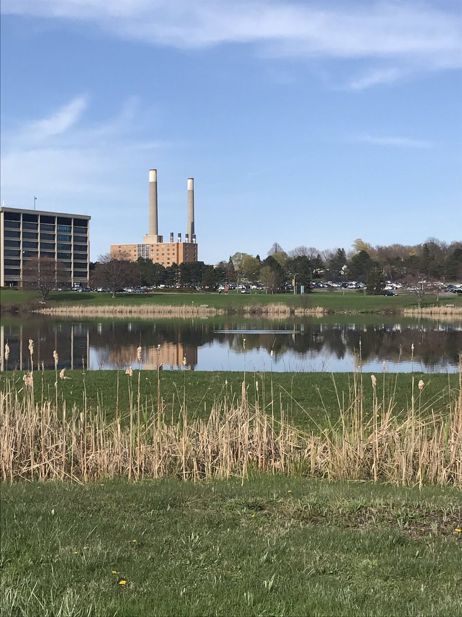 Knopp92's tweet photo. What a beautiful afternoon for a walk around @sunyoswego https://t.co/t3ErQpc9QK