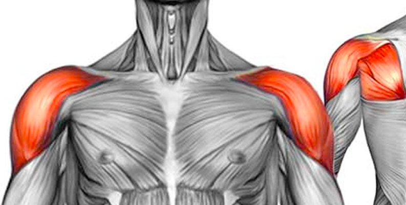 orthodocjones's tweet photo. Dr. Jones offers both non-surgical and surgical treatments which address a variety of #ShoulderInjuries.
https://t.co/Dbntx1vRtq
#CoSportsDoc #ColoradoSprings #SportsMedicine https://t.co/WDwIlnDW2j