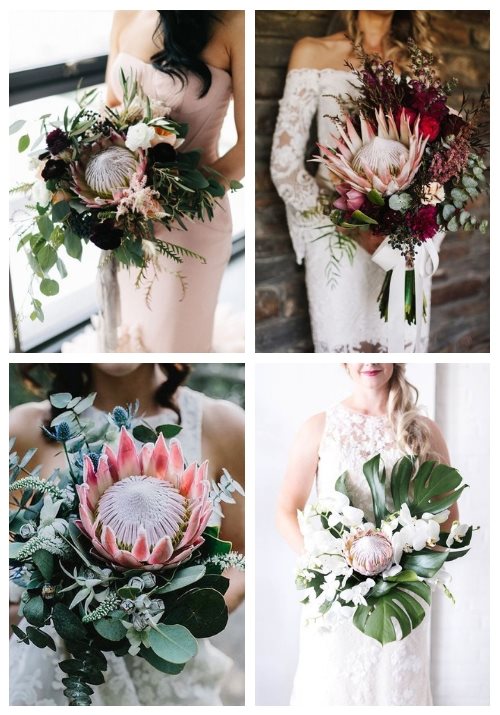 HappyWeddCom's tweet photo. 30 Wedding Bouquets With King Proteas

King proteas are very popular for wedding decor and wedding bouquets, they make a statement and add style at once. We’ve gathered a bunch of gorgeous wedding bouquets with king ...
https://t.co/DDOkuOndg4
#wedding #bouquets #king #proteas https://t.co/45PVib16aq