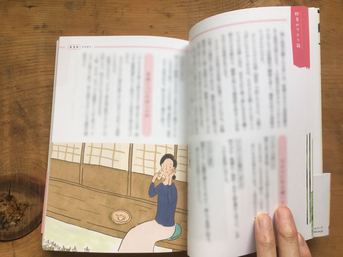 【おしらせ】

東城百合子『自然治癒力をひきだす「野草と野菜」のクスリ箱』 / 三笠書房

装画と挿絵(カラー31点)を担当させていただきました。
4月末に書籍が発売され、実際の書籍をいただけたので再度お知らせさせてください☺

カバー・デザイン | 三笠書房装幀室 