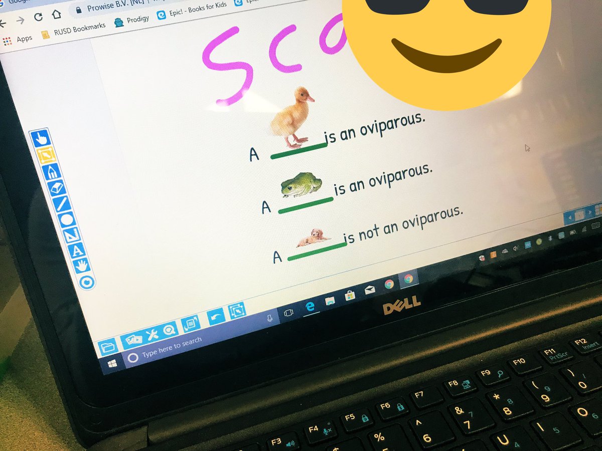 Students working on oviparous animal sentences in #prowisepresenter they love the chance to find images that work for our sentence frames! @CramRUSD @ELBEducationUS #K2CanToo #firstgradetechies #digitization #education