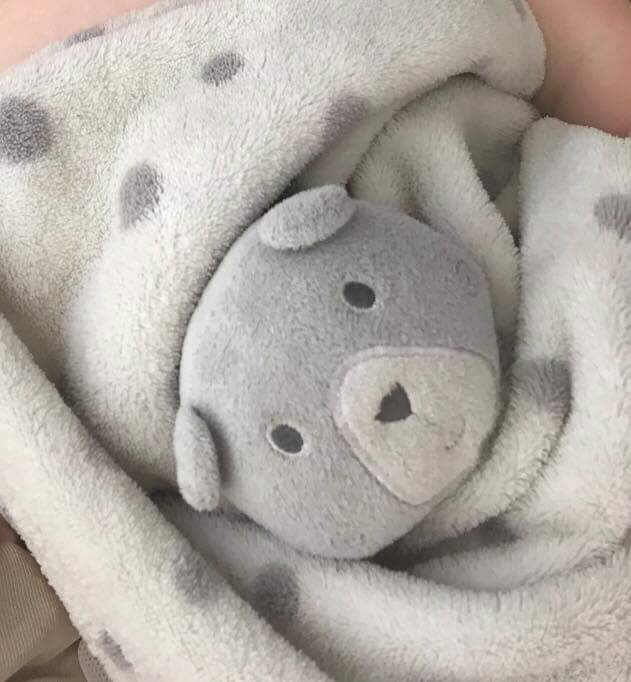 Any from <a href="/ShitChester/">12 years of Shitchester</a> could you please help reunite a little boy with his Mr.Snugs lost on 5.5.19. He is very grubby with a burn mark on. Could be around the Morrison’s Bache/Chester car park there or Debenhams store in Cheshire oaks or their car park. Please help us return him.