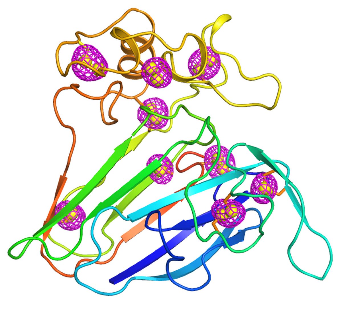 MDCPrecision's tweet photo. New Approach for Solving Protein Structures from Tiny Crystals https://t.co/cvoOtcdKF6 #BrookhavenLab #BNL #ColumbiaUniversity #Synchrotron #crystallography #VacuumChamber #Protein #Biology #XrayDiffraction #FMX #Beamline #NSLSII #mdcvacuum #HighVacuum #VacuumScience #VacuumTech https://t.co/73ElmbkJm3