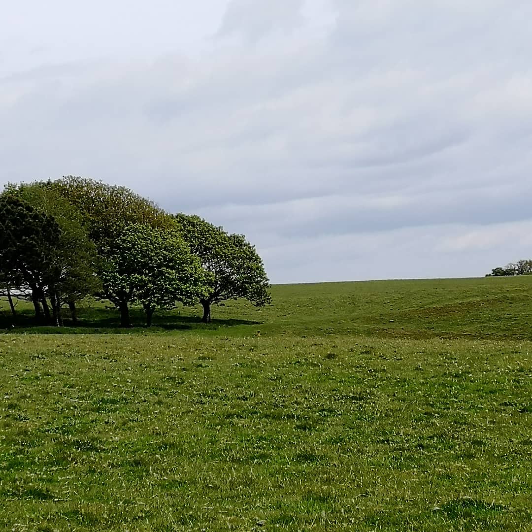 Our boarders took a trip to the delightful Mount Edgecombe over this glorious Bank Holiday weekend!