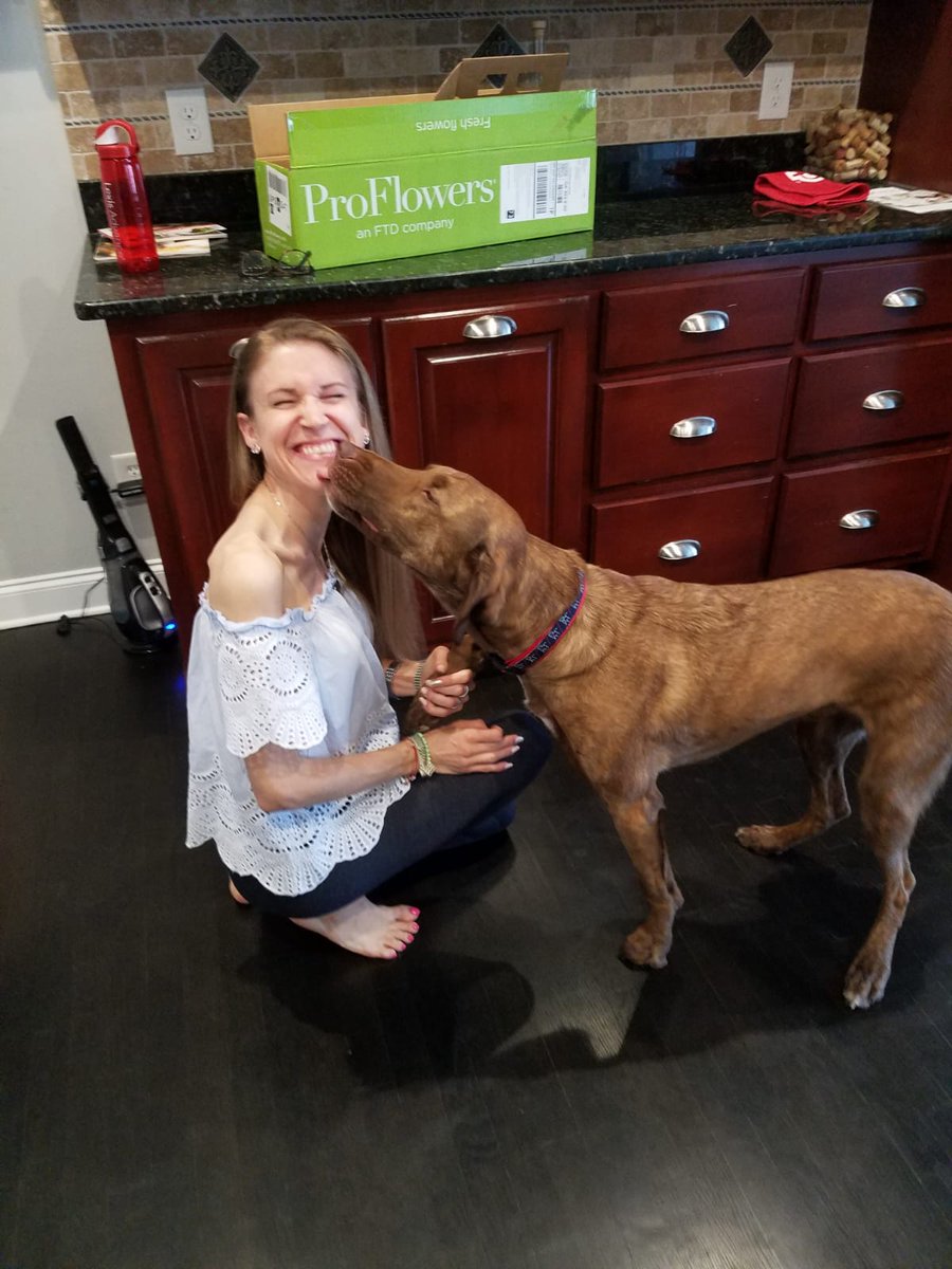 Katja1710's tweet photo. Happy Monday🐶❤️ https://t.co/SmQkzqgHOf