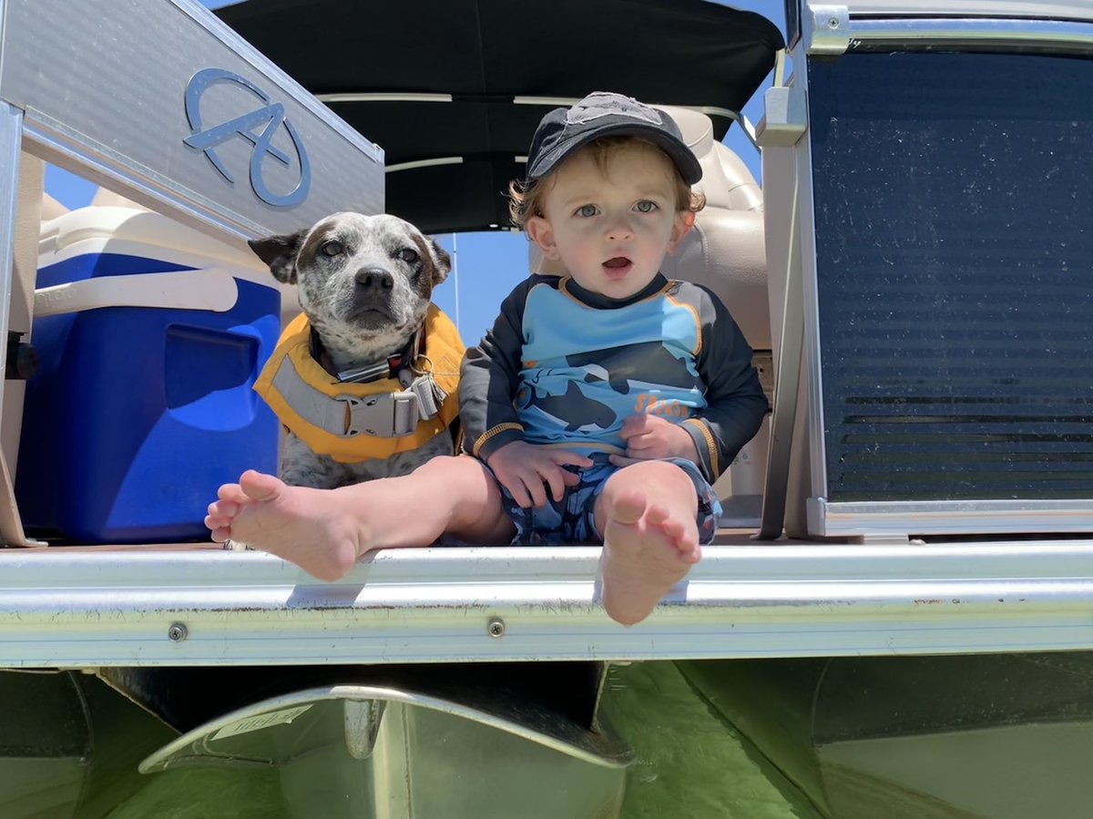 lifewithmutts's tweet photo. Best boatin' buds ⚓️ We had the absolute BEST afternoon on the water with Captain Tim of @chartersbalihai #sponsored We cruised the bay, swam, snorkeled, saw manta rays, lots of birds, sea urchins, sand dollars, fish &amp; played in the sand @gulfcountyfl #gulfcountyfl #ingulf https://t.co/5S1anodSJ1
