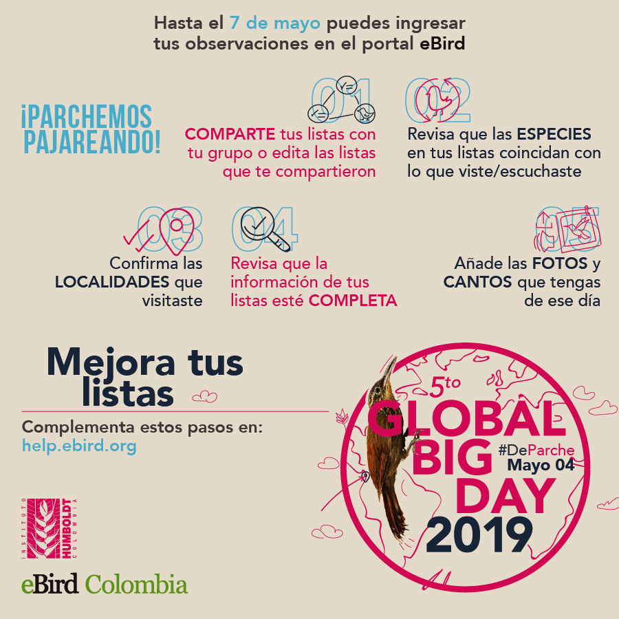 sibcolombia's tweet photo. El trabajo de un pajarero juicioso no termina en campo, ahora que ya participaste en el Global Big Day, sigue nuestros consejos para limpiar tus listas y mejorar tu contribución a este evento. ¡Sigamos #DeParche! 🐦📲🐤
¡Hasta el 7 de mayo puedes subir tus observaciones de Aves! https://t.co/b3nS3Qcmg1