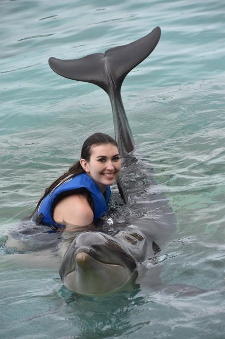 From the other day when I swam with dolphins https://t.co/6FZ1JgyVjI