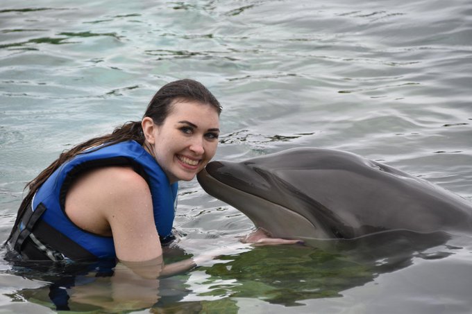 From the other day when I swam with dolphins https://t.co/6FZ1JgyVjI