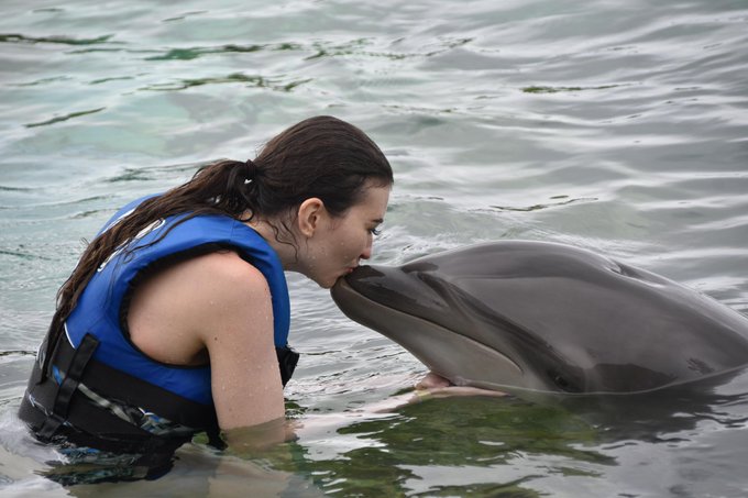 From the other day when I swam with dolphins https://t.co/6FZ1JgyVjI