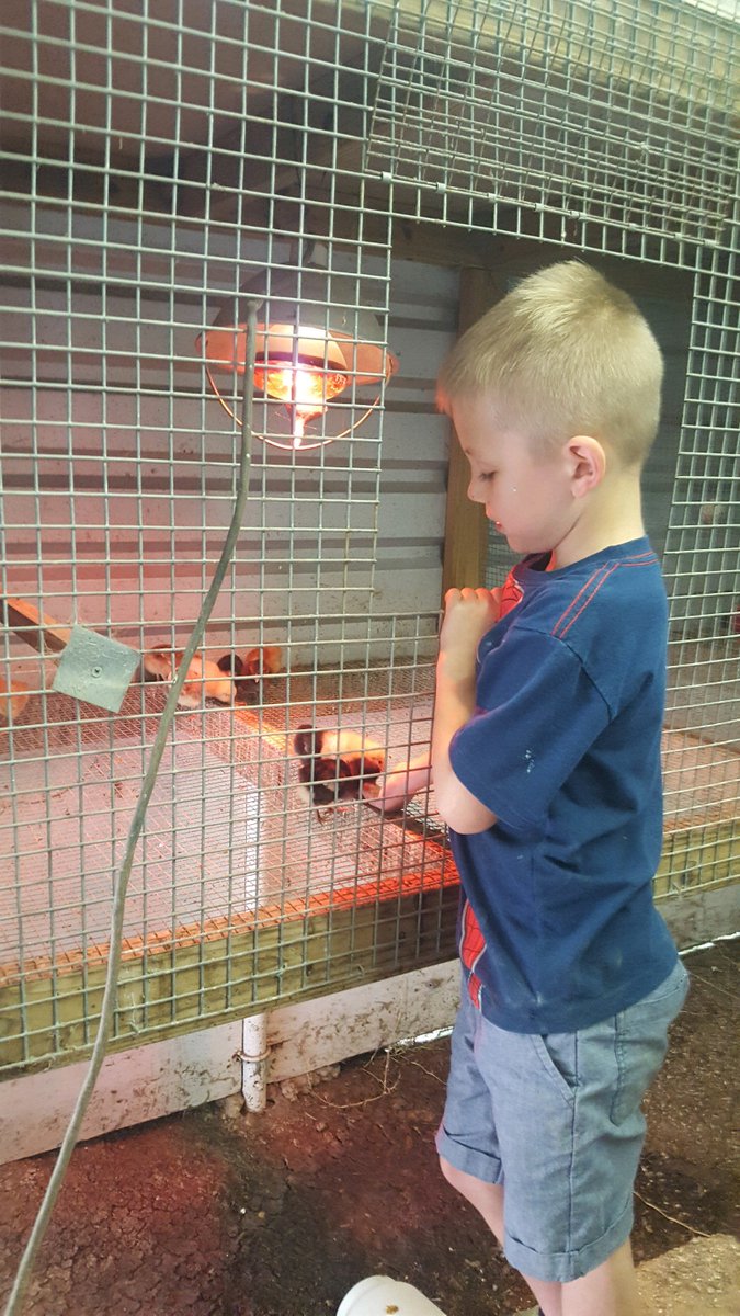 Huntingtec's tweet image. Remember when things were so simple in life? When you could have some fun just going out doors with the animals, just climbing on something or the day you get the game ball! Congrats Christopher and good luck this week games!